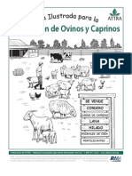 ovinos_ilustrada