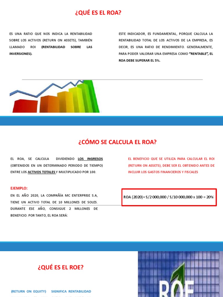 Roa Roe | PDF | Rentabilidad sobre recursos propios | Corporaciones