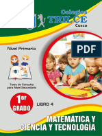 Matemática y Ciencia y Ambiente - 1er Grado - Libro Web 4 PDF