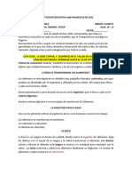 Como Se Transforman Los Alimentos 