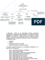 Taller Decreto 1477 de 2014 Enfermedades Laborales