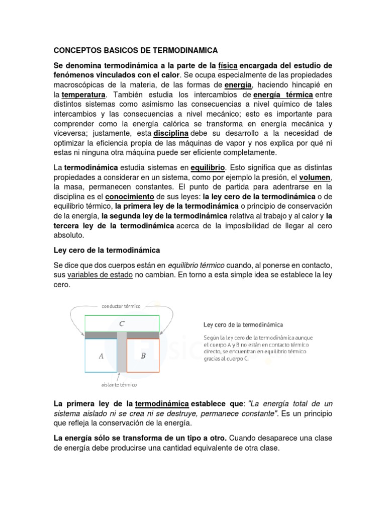 Conceptos Basicos de Termodinamica | PDF | Termodinámica | Temperatura