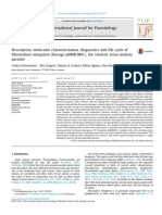 International Journal For Parasitology