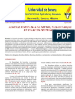 1. ALGUNAS FISIOPATIAS DE FRUTOS, TALLOS Y HOJAS EN CULTIVOS PROTEGIDOS.pdf