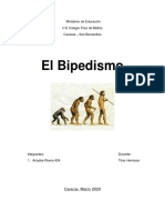 El Bipedismo