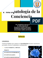 Seminario Psicopatología Conciencia PDF