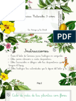 Ciclo de Las Plantas Con Flores PDF