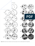 Estimacion Visual de Porcentajes