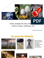 Fungi correcc.pdf