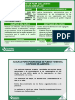 Documento de Apoyo. Habilidades Del Auditor PDF