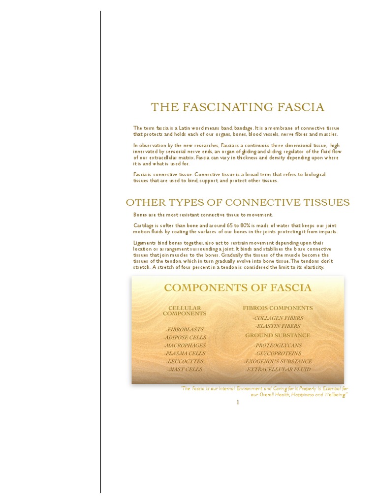 Understanding Fascia: Structure and Function | PDF | Tissue (Biology ...