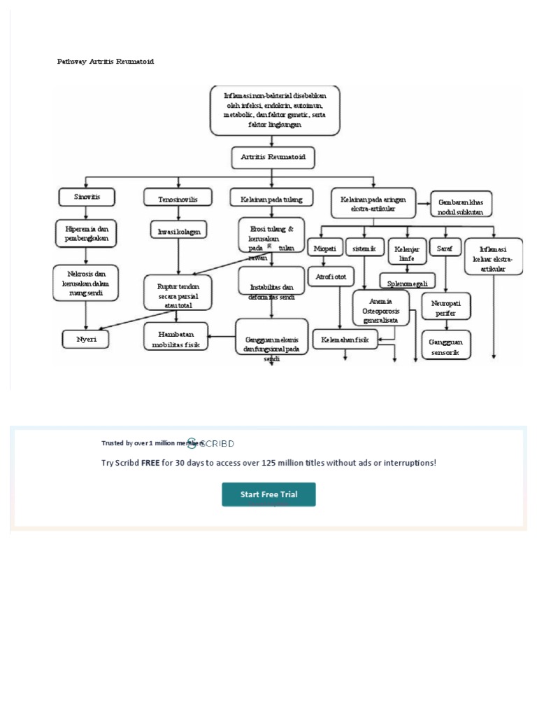 Pathway Artritis Reumatoid dan Dampaknya | PDF