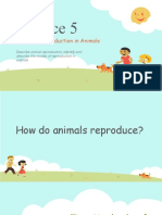 Animal Reproduction Modes