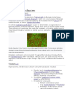 Metastatic Calcification: Causes