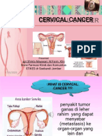 Cervical Cancer: Apt - Shinta Mayasari, M.Farm, Klin Divisi Farmasi Klinik Dan Komunitas STIKES DR Soebandi Jember