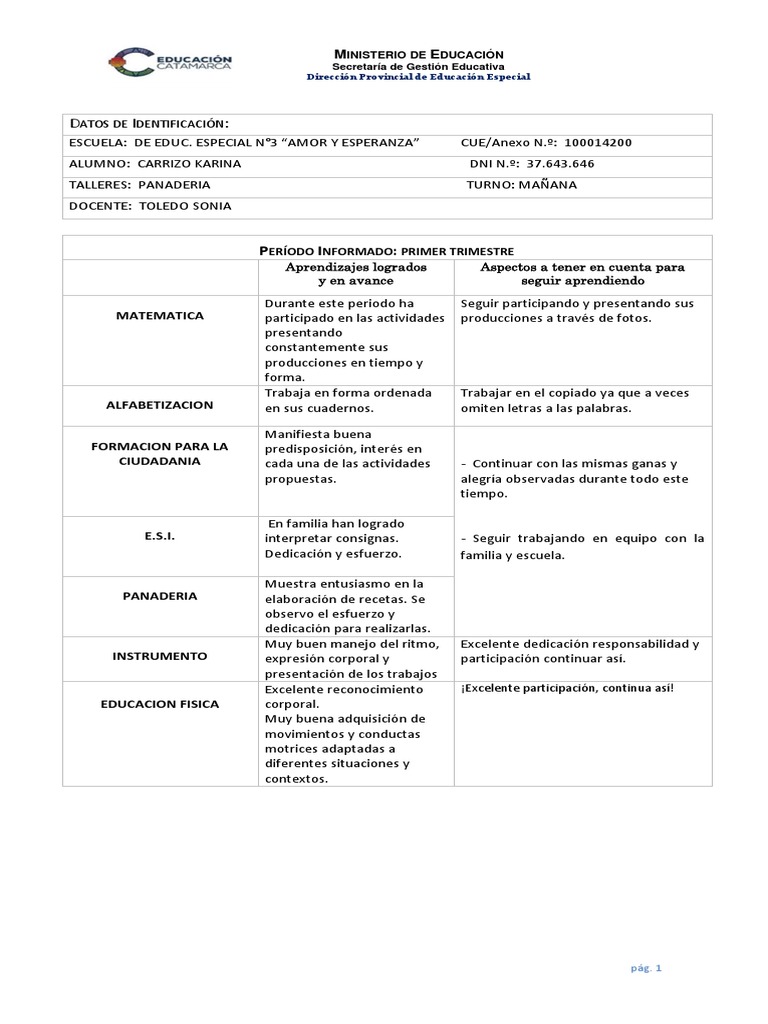 Informe Pedagógico Primer Trimestre | PDF | Educación especial | Literatura