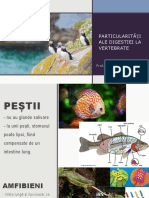 Bio VI - Nutriția la vertebrate.pptx