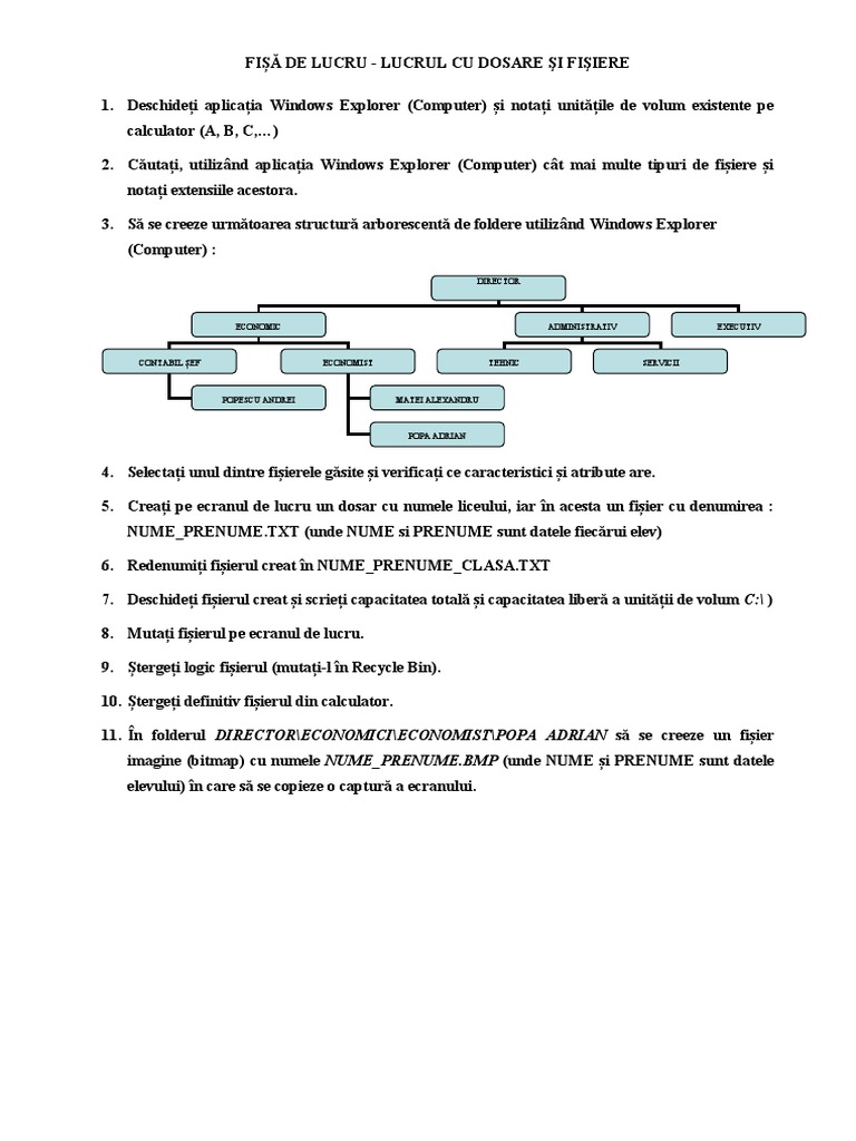 Fisa | PDF