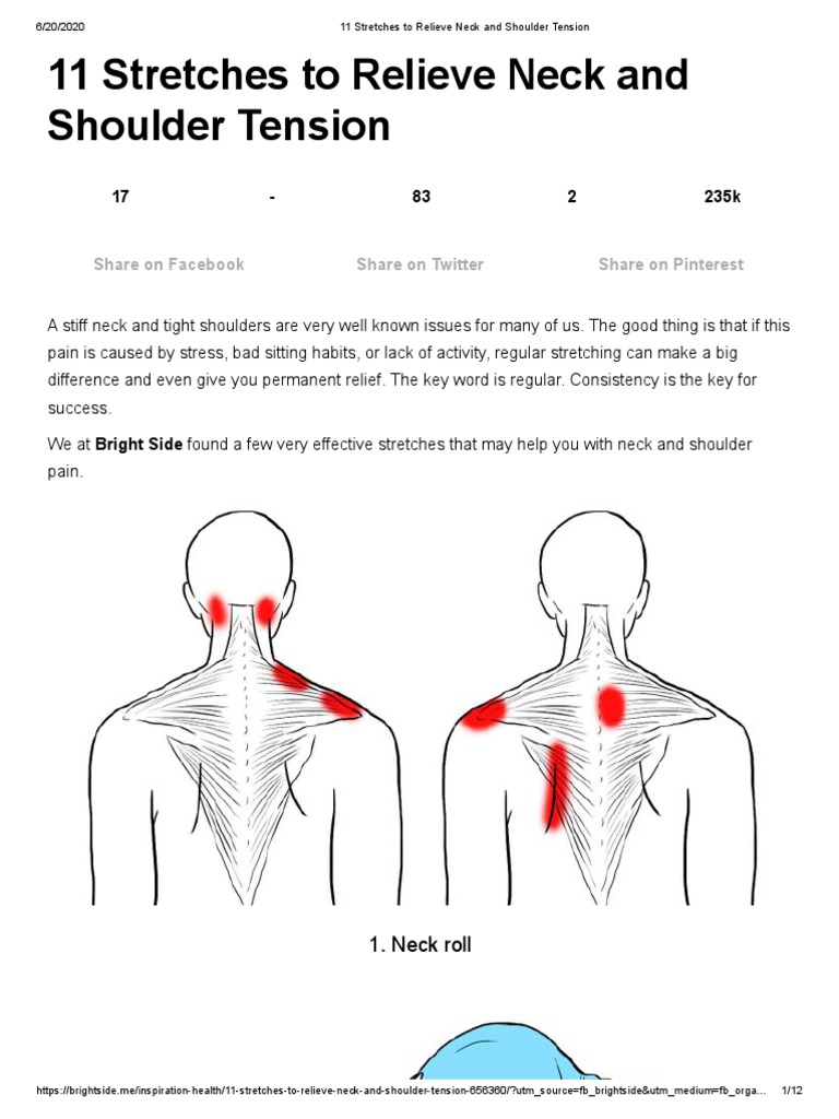 11 Stretches To Relieve Neck and Shoulder Tension, PDF, Shoulder