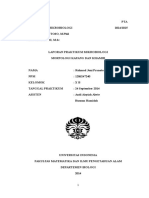 Praktikum Mikrobiologi Pengamatan Kapang Dan Khamir