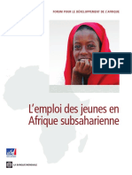 L'emploi Des Jeunes en Afrique Subsaharienne: Forum Pour Le Développement de L'Afrique