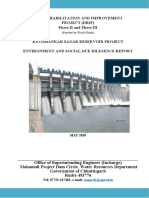 Draft ESDD Report RSP Dam