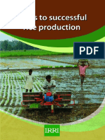 12-Steps-Required-for-Successful-Rice-Production.pdf