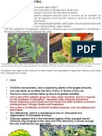 Chapter 3(c) plant and inorganic nutrient(2)