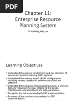 Enterprise Resource Planning System: IT Auditing, Hall, 4e