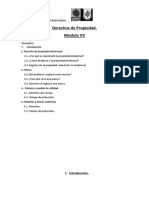 Derechos de Propiedad (1)