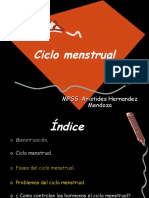 Ciclo Menstrual 2