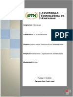 Instituciones y Organizaciones de Metrologia 200910810048 PDF