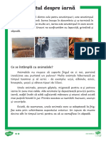 Nivel Elementar PDF
