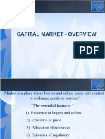 Capital Market - An Overview