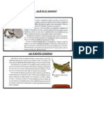 Semana 5º A, B, C, D Ciencias Naturales