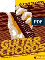 Guitar-chords-beginner-and-advanced-chords-pdf.pdf