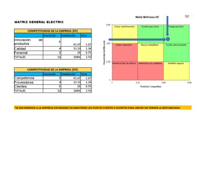 Matriz General Electric | PDF
