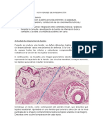 Actividad de Integración 1 Histologia