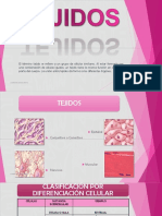 TEJIDO.pdf