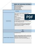 Plantilla Pci - Perfil Competitivo