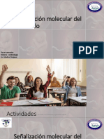 Señalización molecular del desarrollo embrionario