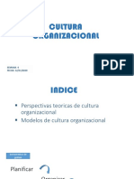 Cultura ORGANIZACIONALu