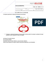 Ficha de Tarefa Nº6 Sistema de Transporte Do Inseto