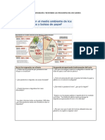 S 35 Tarea Comunicación