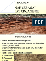 Tanah Sebagai Habitat Organisme