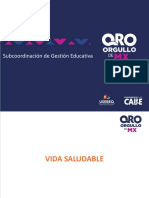 Vida Saludable PPT (1).pdf