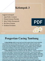 Kelompok 3 Histologi (Cacing Tambang)