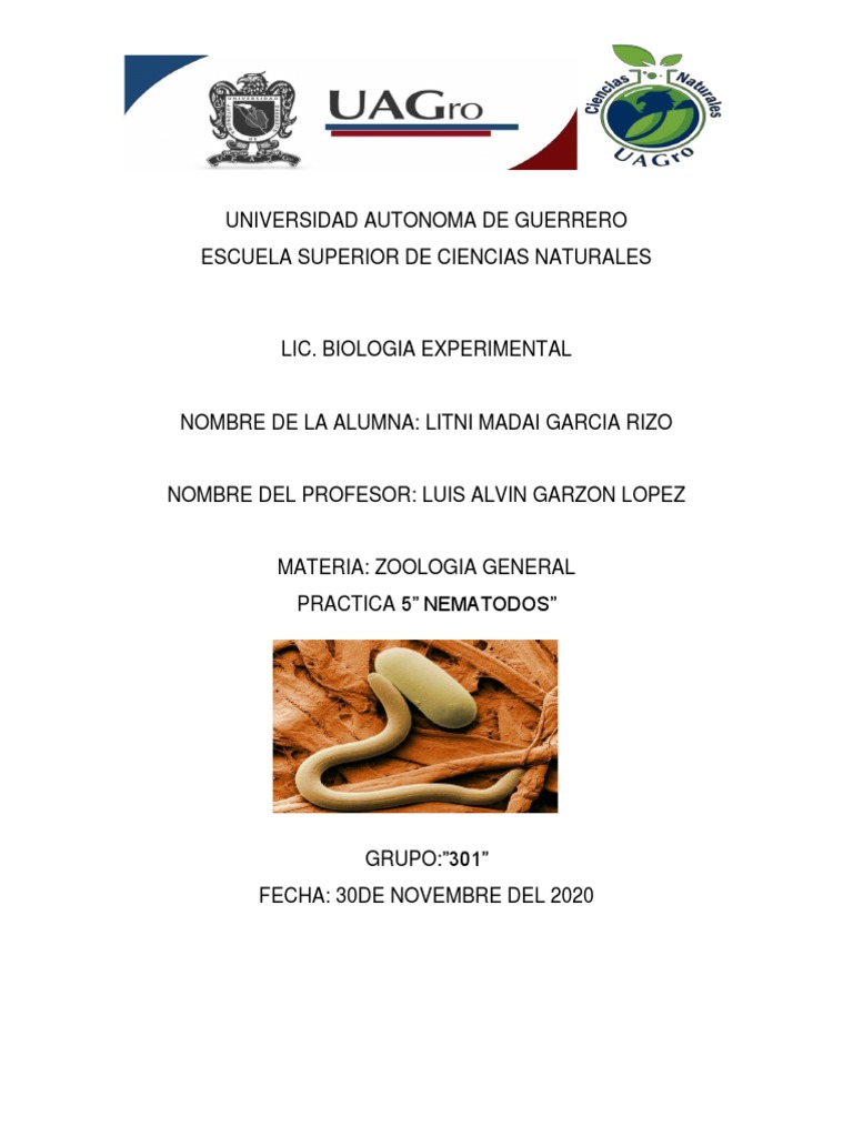 observaci-n-de-nematodos-fitopar-sitos-pdf-nematodo-organismos