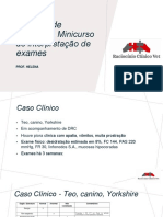 Caderno de Exercícios Minicurso de Interpretação de Exames PDF