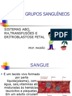 Sangue E Grupos Sanguíneos: Sistemas Abo, RH, Transfusões E Eritroblastose Fetal